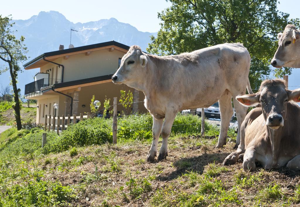 Agriturismo Al Franet Tremosine Экстерьер фото