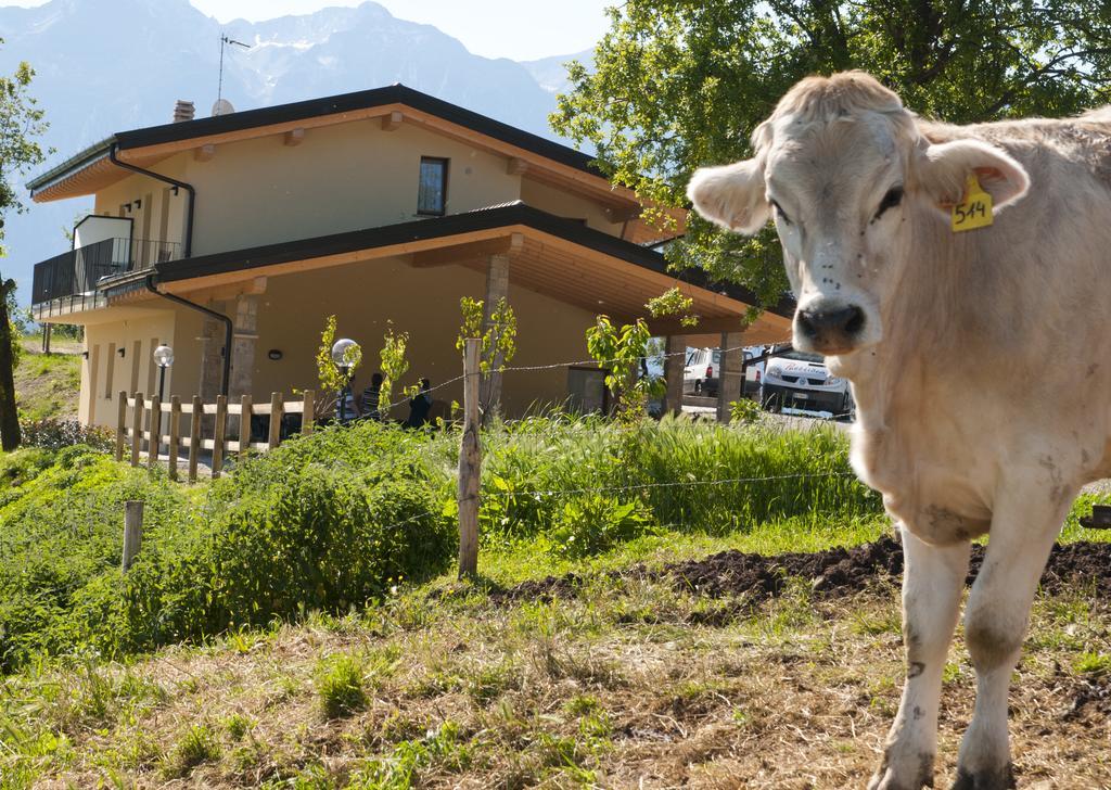 Agriturismo Al Franet Tremosine Экстерьер фото