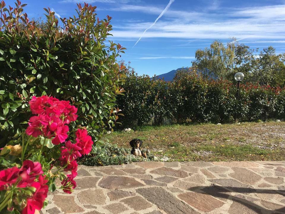 Agriturismo Al Franet Tremosine Экстерьер фото